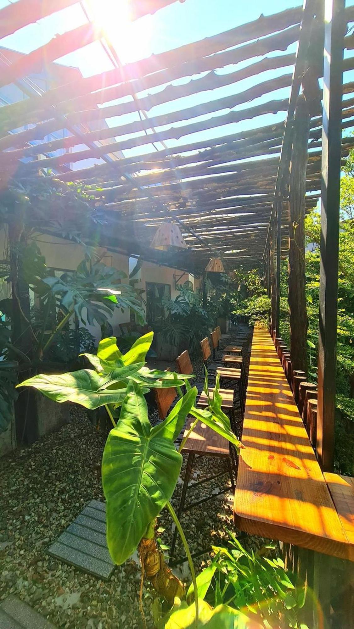فندق Tinh House دونغ دونغ المظهر الخارجي الصورة